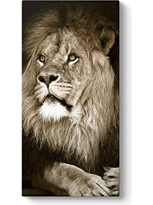 Aslan Tablosu 80 x 160