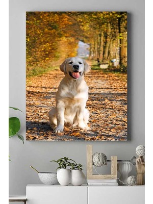 (PSTER16101) Retriever Hayvan Kanvas Tablo 30 x 40