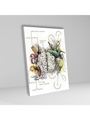 Tekli Dikey Kanvas Poliklinik Tablosu Sanatsal Beyin Bölümleri, 60 x 90