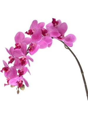Yapay Çiçek Orkide 57.5 cm