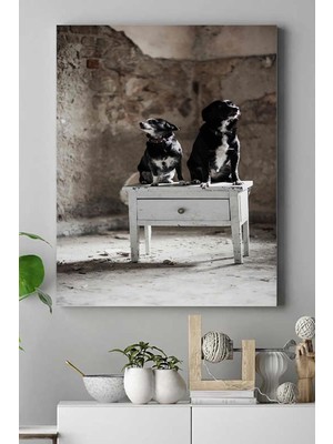 (PSTER16687) Köpek Hayvan Kanvas Tablo 40 x 60