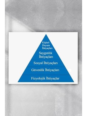 (PSTER21519) Maslow Ihtiyaçlar Piramidi Eğitim Posteri