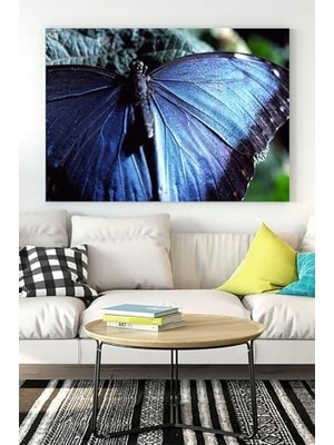 (PSTER16583) Kelebek Hayvan Kanvas Tablo 2 40 x 60