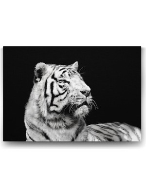 Beyaz Kaplan Profil Tablosu - 60X40CM
