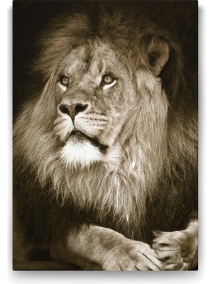 Aslan Tablosu - 50X75CM