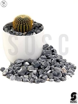 Çakıl Taşı Dolomit Taşı Bahçe Süsü Akvaryum Taşı Dere Çakıl Taşı 1-2 cm 3 kg