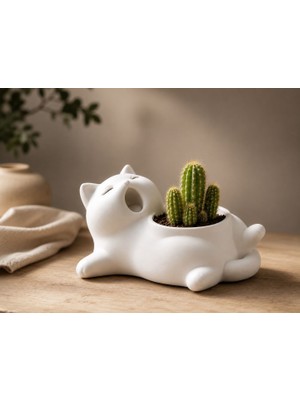 Sylva Concept Minimalist Kedi Saksı | Dekoratif Sukulent & Kaktüs Saksısı | Modern Beyaz Masa Üstü Saksı | Estetik Ev Ofis Dekoru