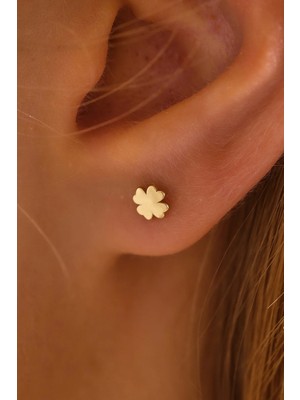 Moom Mücevherat 14 Ayar Altın Vidalı Yonca Tragus Küpe