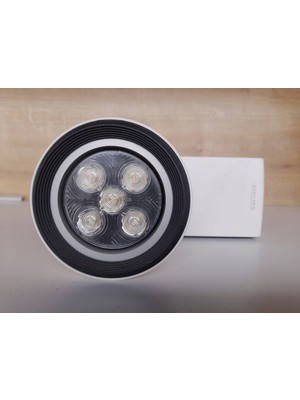 Philips Ray Spot