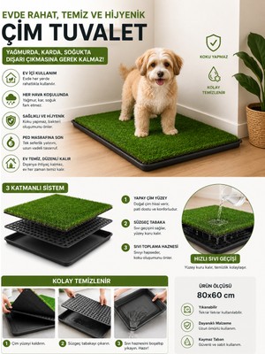 Black Gold Pro Akıllı Çim Tuvaleti Köpek Kedi Için 3 Katmanlı Yıkanabilir Hazneli 80X60 Büyük Boy