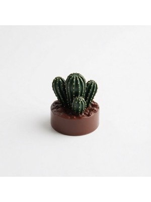 Karakız Kaktüs Silikon Kalıp 4x3x3 Cm
