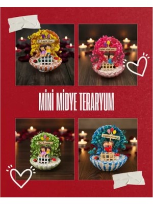 MiraLive Mini Midye Teraryum - Özel Gün Hediyesi
