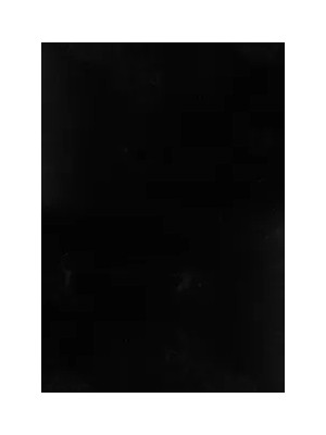 Youdayhomecollection Tavşan Poly 80X350