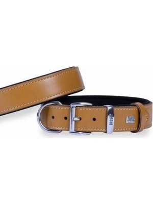 Nova Premium Ex Konfor Deri Köpek Boyun Tasması Camel 3,5X47 55 cm