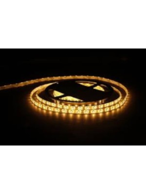 Cata Gold 12V 240 Çipli Amper Renk Şerit LED Iç Mekan 4538A (1 METRE)
