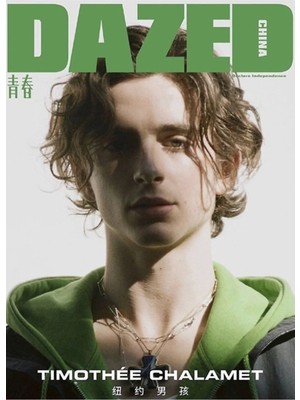 Universal Timothee Chalamet Tablo Ahşap Poster Dekoratif