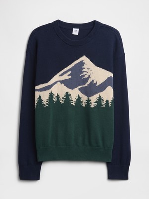 Gap Erkek Çocuk Lacivert Intarsia Kazak