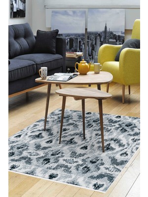 Dekoreko Kaymaz Taban Djt Salon Halısı Trend Iskandinav F5136