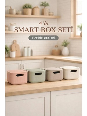 Okyanus Home Linea Smart Box Multi Renk 2,4 Lt 4 Adet Kapaklı Çok Amaçlı Saklama Kutusu