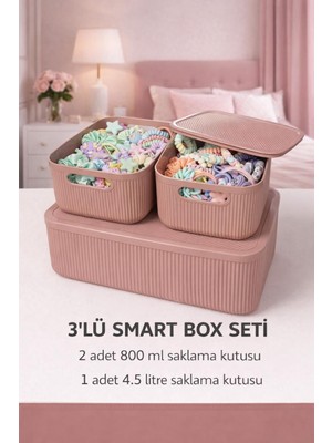 Okyanus Home Linea Smart Box Pembe 3lü Set 1 Adet 4,5 Lt 2 Adet 2,4 Lt Kapaklı Çok Amaçlı Saklama Kutusu