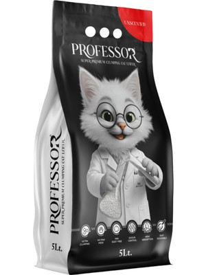 Küçük Hazine Kokusuz Bentonit Kedi Kumu 5 Lt