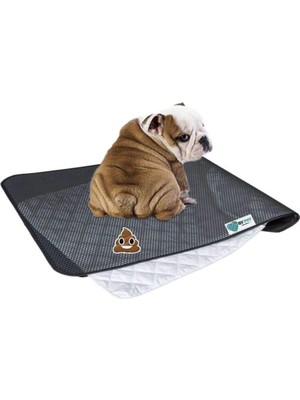 Bypet Yıkanabilir Köpek Çiş Pedi - Köpek Tuvalet Eğitim Seti (3 Katmanlı) 90CMX60CM Yedekli