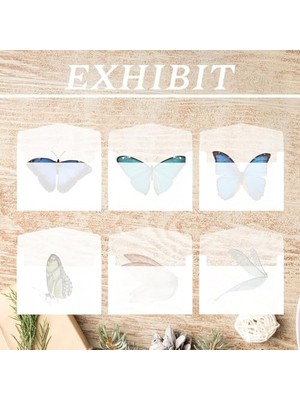 Selofan Zarf Cellophane Envelope, 100 Adet 7X10 cm Şeffaf Kağıt, Glazin Koleksiyon Malzemeleri, Madeni Para ve Pul ile Tohum Paketi Için Küçük Zarflar, Düğün Hediyesi Saklama Çantası