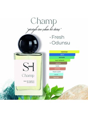 Sh Fragrances Champ Edp Erkek Parfüm | Fresh-Odunsu | Deniz Notaları-Greyfurt | Yasemin | Ambergris-Paçuli, 50ML