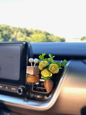 Plantarrium Design Oto Aksesuar/koku - Mini Hasır Buket Sarmaşık