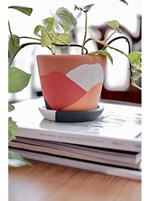 Esplendor Terracotta Savana Saksı - Orta Boy, Yeşil ve Sarı Renk