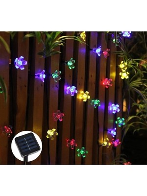 Renas Store Solar 5m 50 LED Papatya Rgb 8 Fonksiyonlu