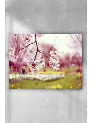 AyrStore (PSTER6562) Ilkbahar Manzara Poster 2 70X100 cm