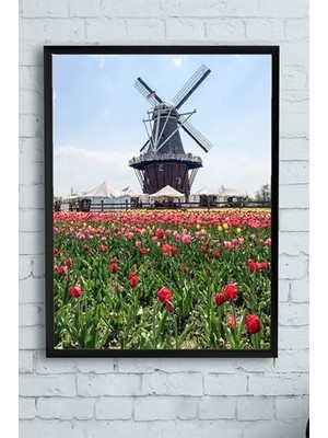 (PSTER11254) Hollanda Manzara Çerçeveli Tablo 2 (30 x 40CM)
