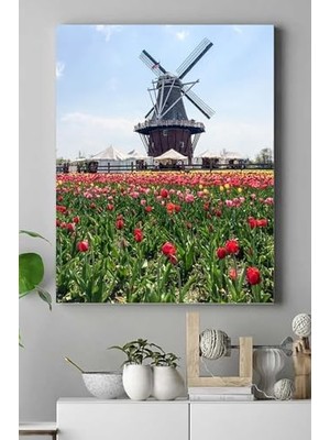 (PSTER16228) Hollanda Manzara Kanvas Tablo 2 40 x 60