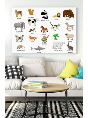 (PSTER16285) Hayvanlar Eğitim Kanvas Tablo 50 x 70