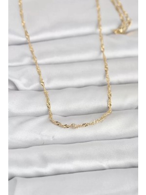Renas Store cm 14K Gold Renk Burgu Zincirli 60 cm Kadın Kolye - TJ-BKO10955