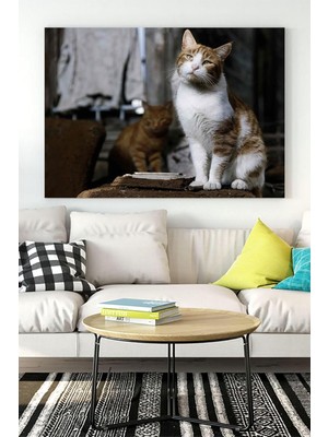(PSTER16466) Kedi Hayvan Kanvas Tablo 6 21 x 30