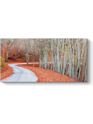 Orman Yolu Tablosu 160 x 80