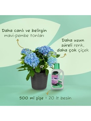 Ortancalar ve Açelyalar Için Sıvı Besin Gübre 500 ml