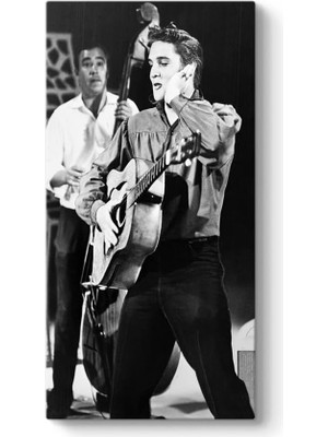 Presley Canvas Tablo 30 x 60