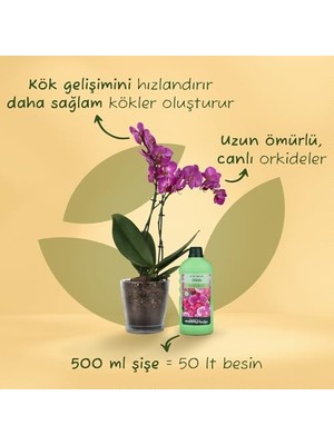 Prestige Orkideler Için Sıvı Bitki Besini 500 ml