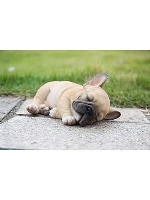 Hi- Ltd. Uyuyan Pug Yavru Köpek