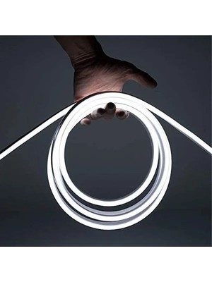 Die Grup 12V Trafolu Neon LED Aydınlatma Hortumu, 5 Metre Uzunluğunda