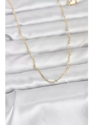 Renas Store cm 14K Gold Renk Burgu Model 60 cm Kadın Kolye - TJ-BKO10950