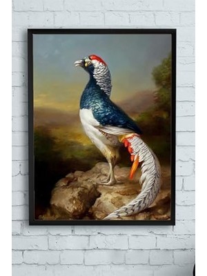 (PSTER11863) Kuş Sanatsal Çerçeveli Tablo (50X70CM)