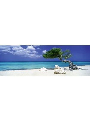 Omrs Store Heye Puzzle 1000 Parça Divi Divi Tree HEY29399