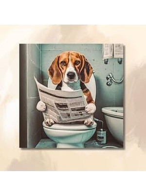 Omrs Store Tekli Kare Kanvas Banyo Tablosu Gazete Okuyan Beagle Köpek 40 x 40 GARTNM8423