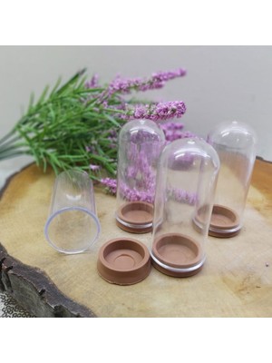 Hayaller Dükkanı 10 Adet Plastik Fanus Tıpalı Bebek Şekeri Nikah Şekeri Malzemesi