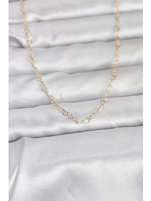 Renas Store cm 14K Gold Renk Zincirli 60 cm Kadın Kolye - TJ-BKO10953