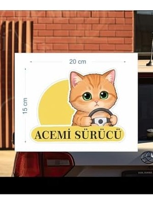 Tech Butiq Parti Tasarla Acemi Sürücü Sevimli Kedi Araba Etiketi & Çok Renkli